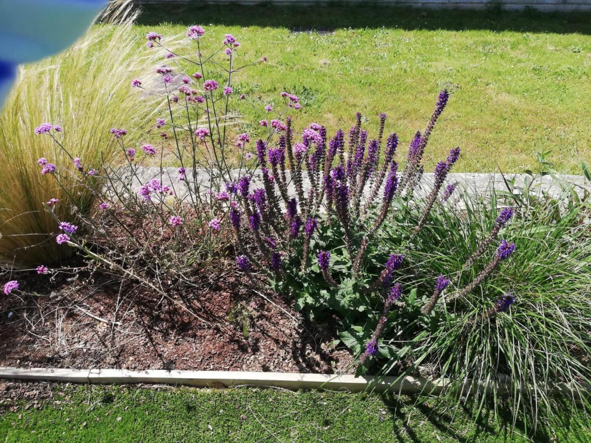 Albergue Camino Real Sigueiro Εξωτερικό φωτογραφία